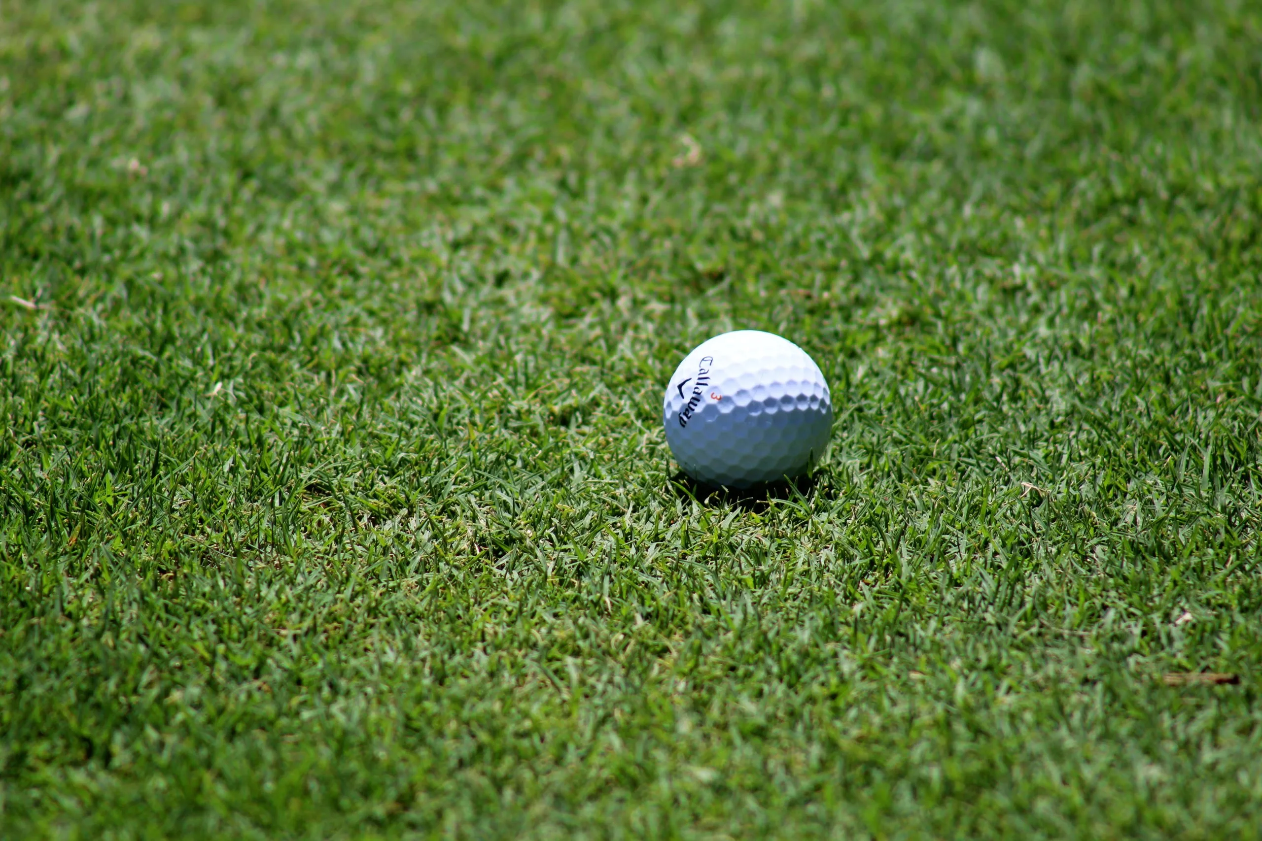Golf Accessories Sales Store -Golf Accessories Sales Store pexels photo 137523 scaled